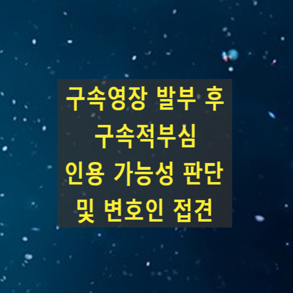  구속영장 발부 후 구속적부심 인용 가능성 판단 및 변호인 접견