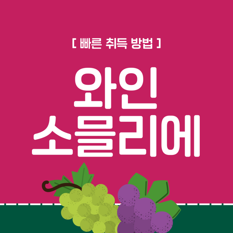 와인소믈리에 자격증 빠른 취득 방법 와인소믈리에 자격증 빠른 취득 방법