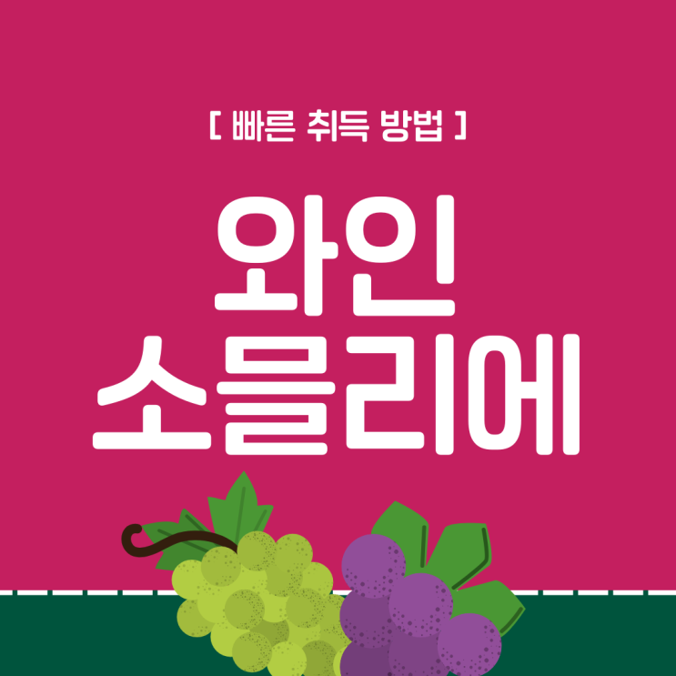 와인소믈리에 자격증 빠른 취득 방법