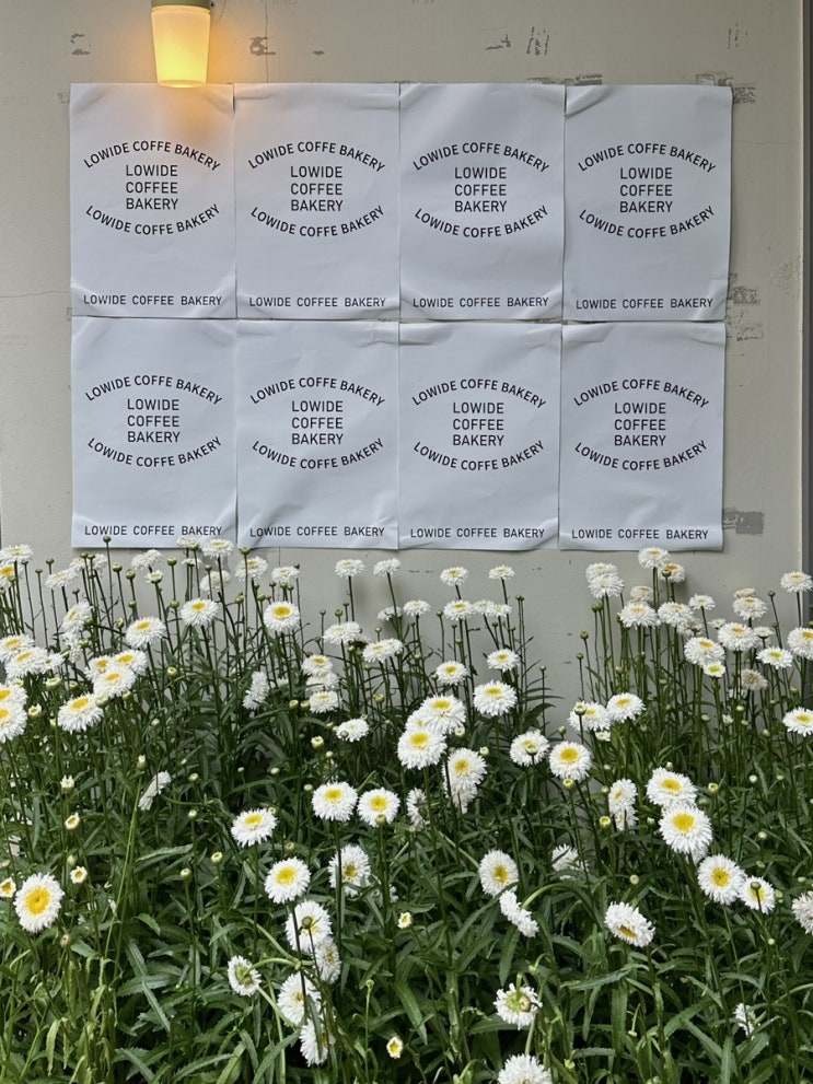  서울숲/성수동 디저트 카페, 로와이드 LOWID