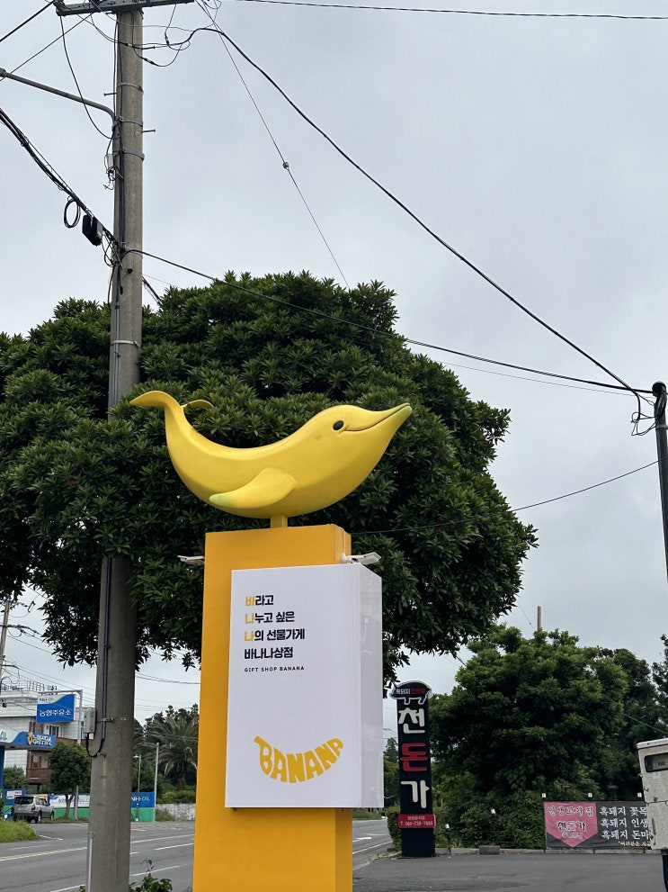  제주도선물추천 기념품부터 다양한 주류까지