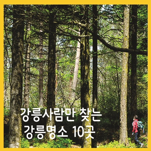  강릉 사람만 찾는 명소 10 곳