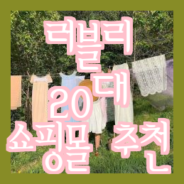  20대 유니크한 러블리 쇼핑몰 바이소블 소개
