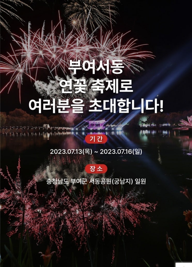 { 충남 데이트코스} 부여 서동연꽃축제! { 충남 데이트코스} 부여 서동연꽃축제!