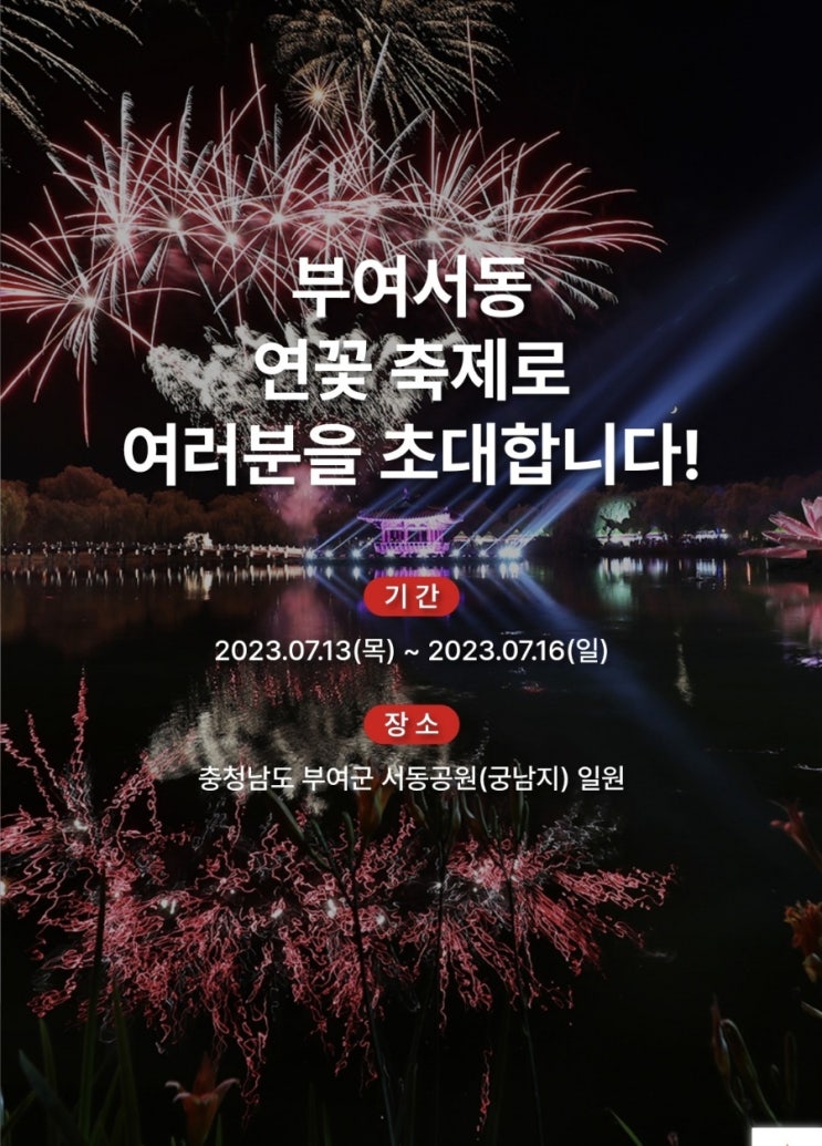 { 충남 데이트코스} 부여 서동연꽃축제!