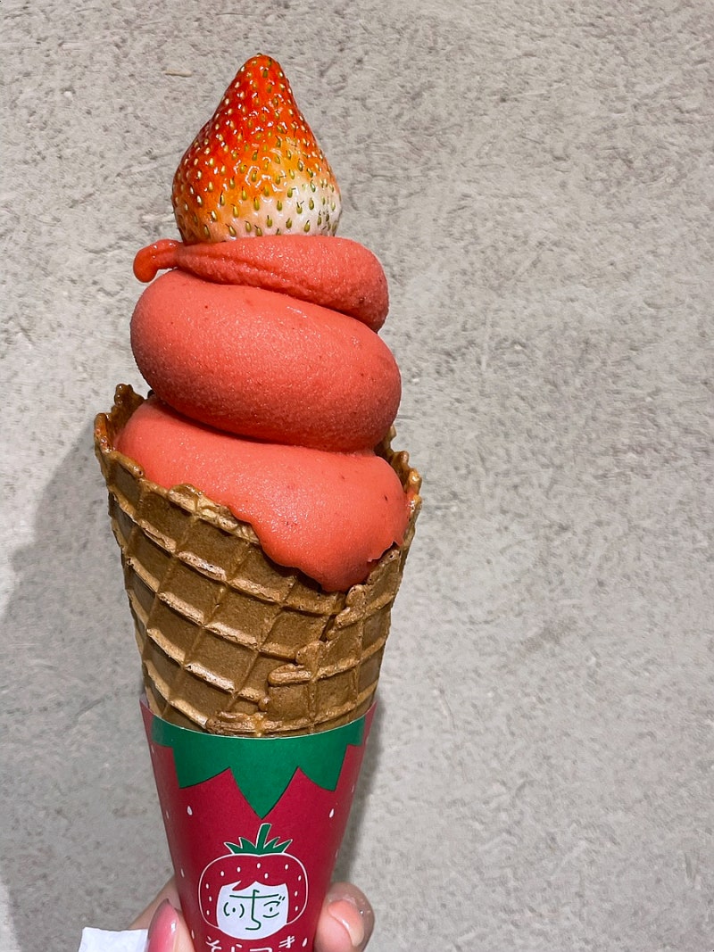 도쿄 츠키지시장 맛집 혼간지 츠무기카페 18품 아침식사 예약 특별한 경험 후기 : 네이버 블로그