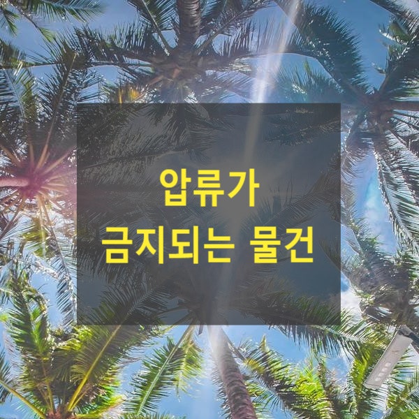  압류가 금지되는 물건(민사집행법 제195조)