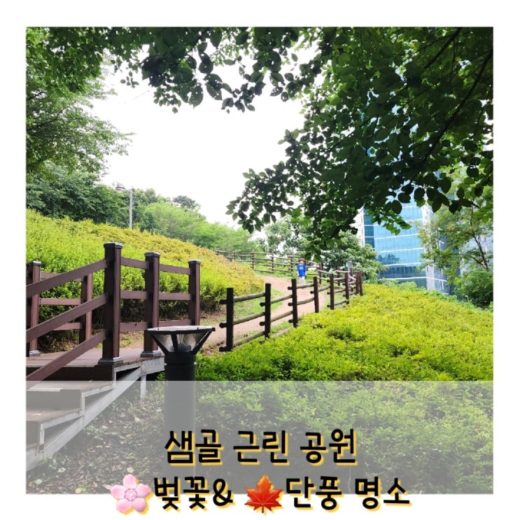  샘골 근린 공원 (자은근린공원) 식사후 걷기 좋은 곳