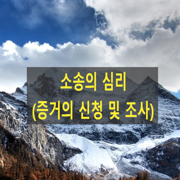  소송의 심리(증거의 신청 및 조사)