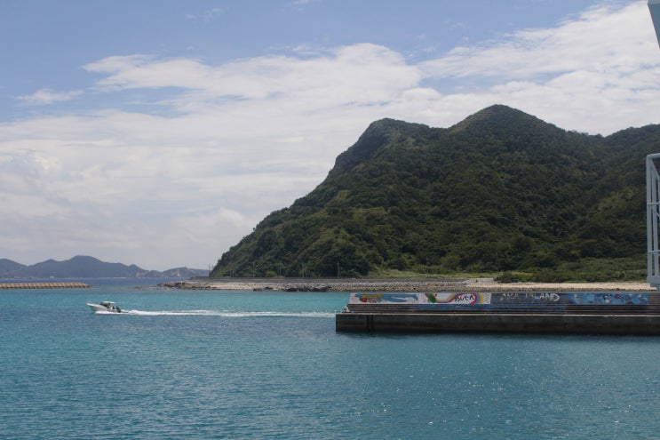 오키나와 자마미섬 자유여행 : 페리타고 나하 본섬(토마린항)에서 자마미섬가는 방법