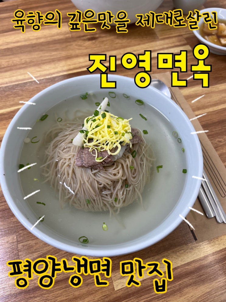  내돈내산 | 찐하고 깊은 육향을 머금은 자극적인 평냉 먹어봤니? 웨이팅 이겨내고 먹어야하는 ”진영면옥“