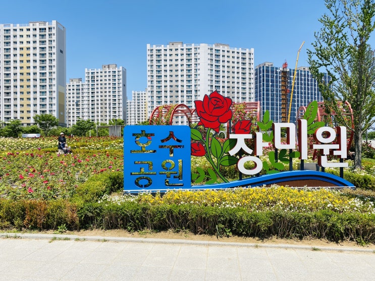  김포 한강신도시 데이트 코스 및 바닥분수가 있어 아이랑 가족나들이로 좋은 장소 호수 공원