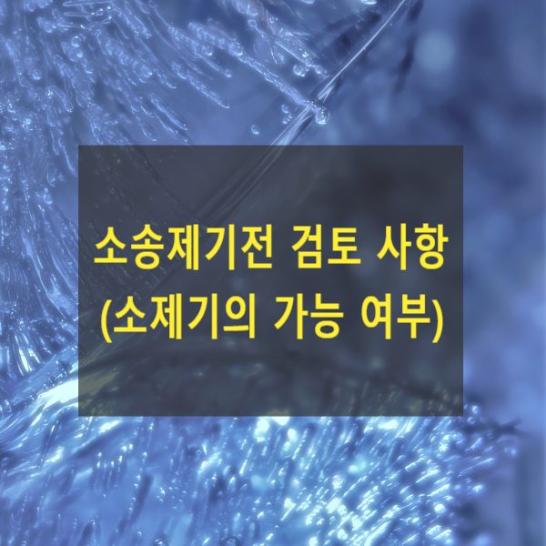  소송제기전 검토 사항(소제기의 가능 여부)