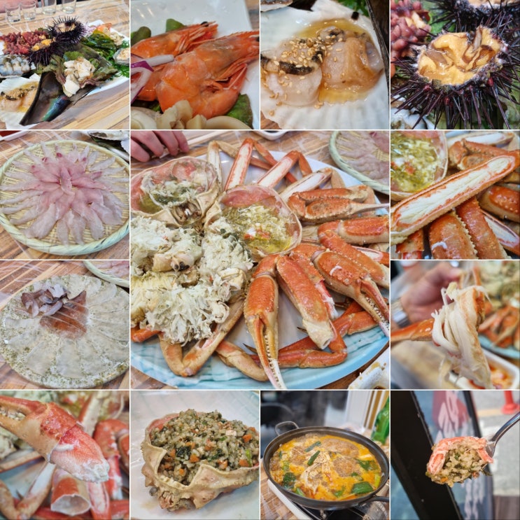  [속초 대게 맛집] 동해 대포항의 특별한 대게코스 맛집 현희네.