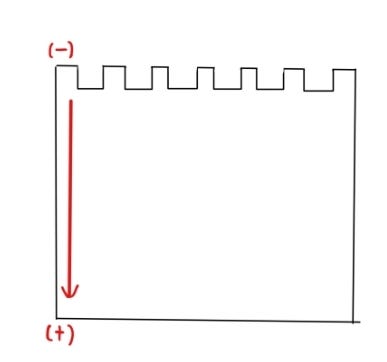 [생명과학] 전기영동 (Electrophoresis)