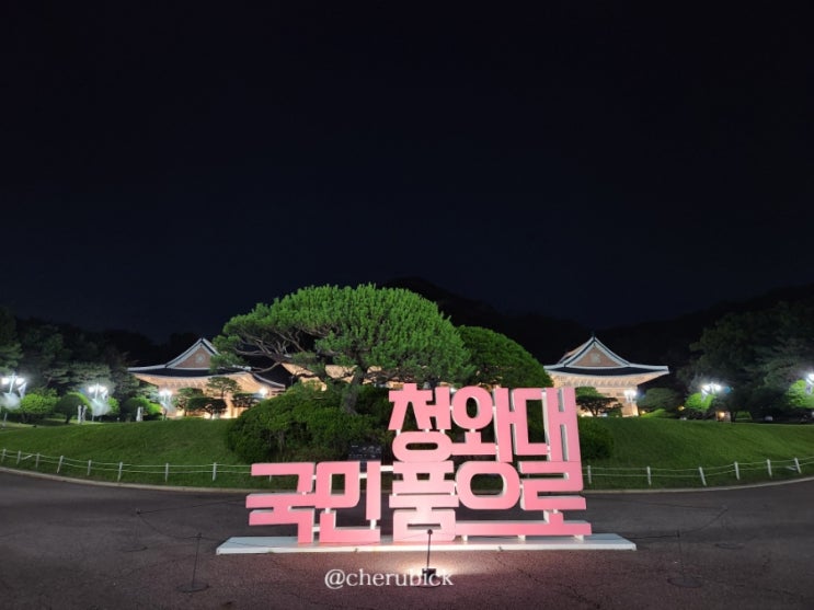  일상_청와대 야간개장 관람 후기, 아름다웠던 청와대 밤의 산책 