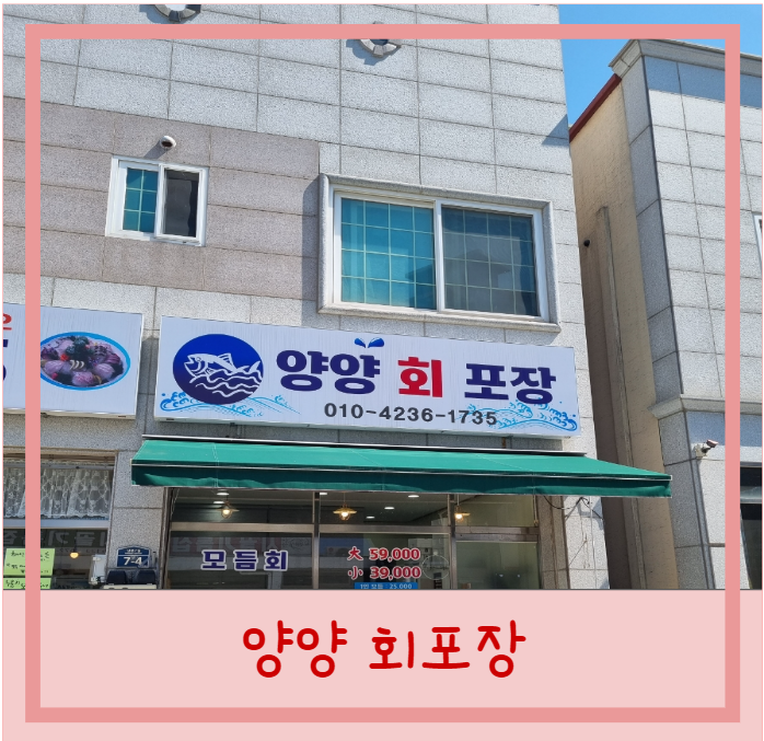  양양시장 횟집 양양회포장 가성비 여행