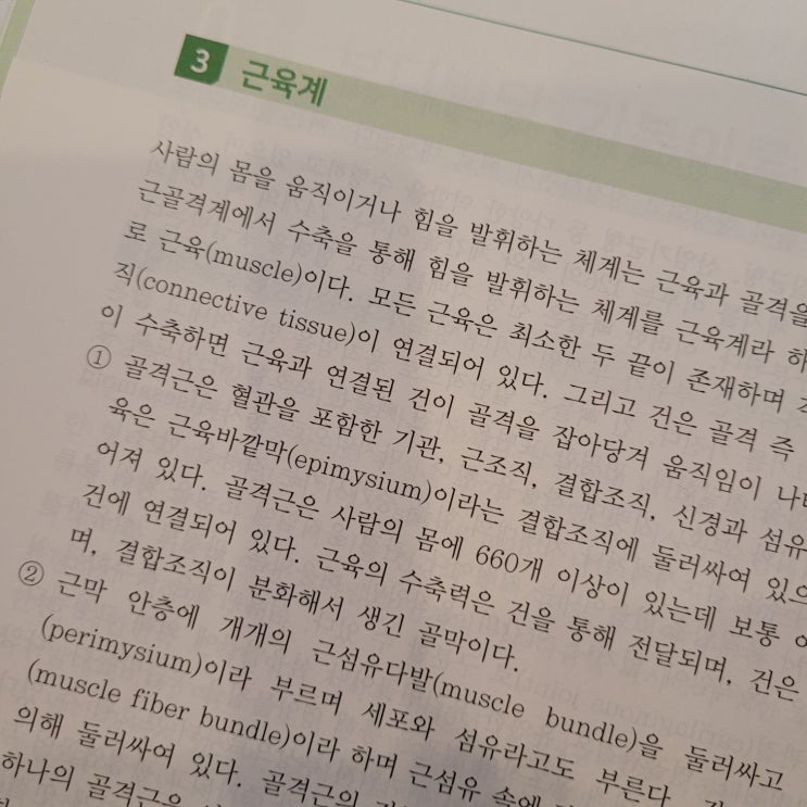  골격근의 기능, 근육종류, 큰근육 운동, 뼈란?