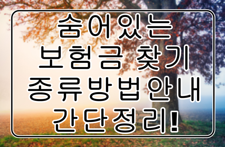  숨어있는 내보험금을 찾아볼까요!