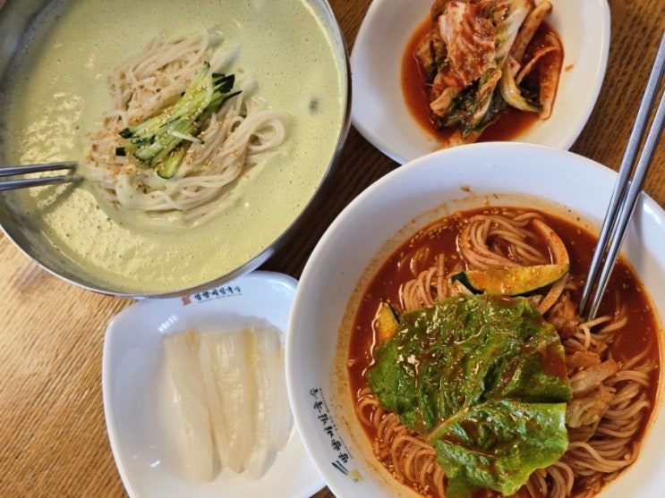  천안 아산 망향비빔국수 콩국수 어때?