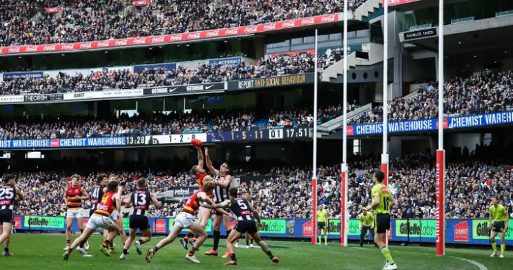 '침묵의 문화': AFL과 AFLW 선수들은 인종차별에 대해 목소리를 내는 것을 두려워한다고 보고서는 밝혔습니다 '침묵의 문화': AFL과 AFLW 선수들은 인종차별에 대해 목소리를 내는 것을 두려워한다고 보고서는 밝혔습니다