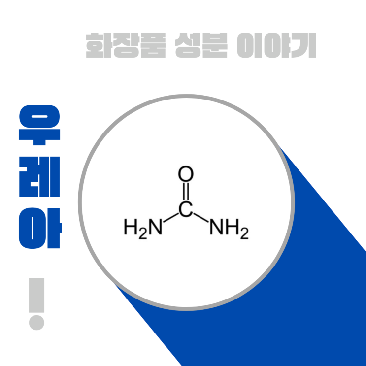  화장품 성분 이야기: 우레아 [ Urea]