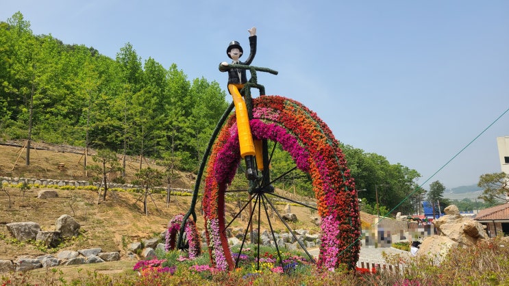  인천시 강화에서 연산군 유배지로 유명한 화개산 테마정원인 [화개정원] 입니다.