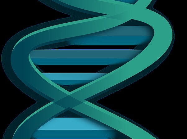 [생물공부] DNA - 클로닝 (cloning)
