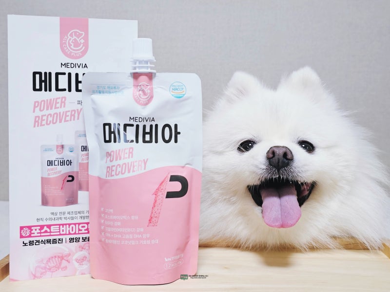 반려동물회복영양식 강아지 식욕부진 메디비아 리커버리