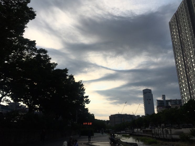  4km 달리기 -11일