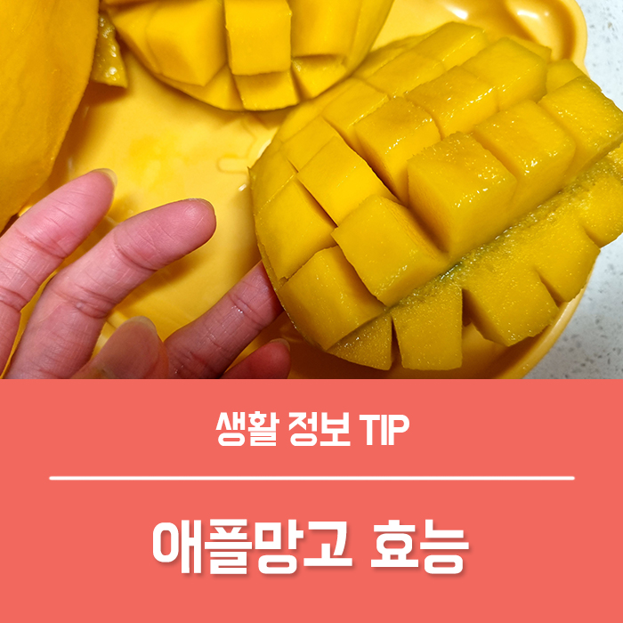  애플망고 효능 애플망고 보관 후숙 먹는법 자르는법 칼로리 총정리!