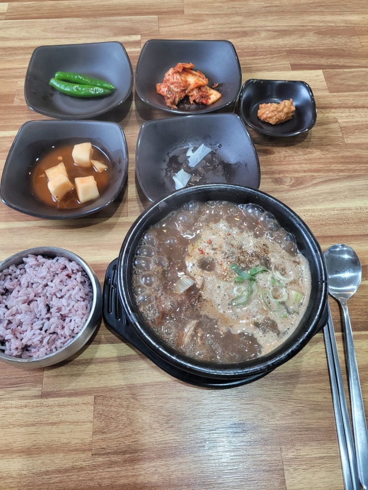  제주도 혼밥 용두암 주변 육개장 맛집 추천 (동진식당 내돈내산)