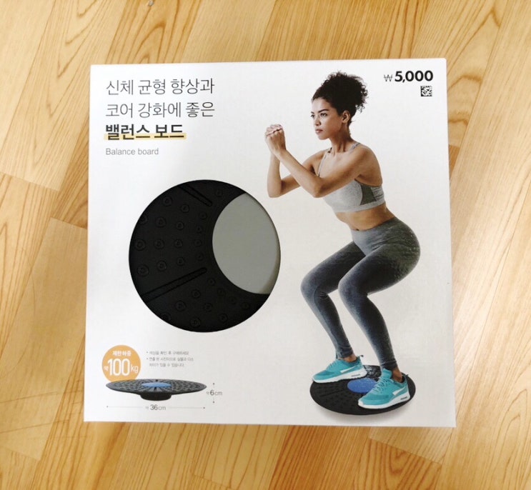  가성비 좋은 홈트 운동기구 다이소 밸런스 보드 내돈내산 리뷰