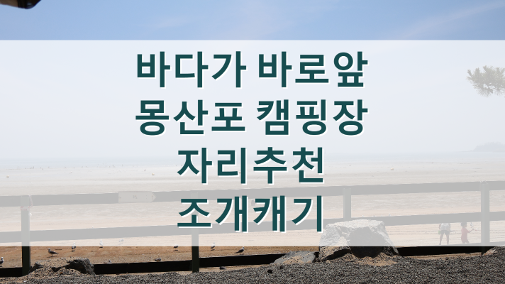  태안 몽산포 오토캠핑장 1구역,예약방법 및 자리추천