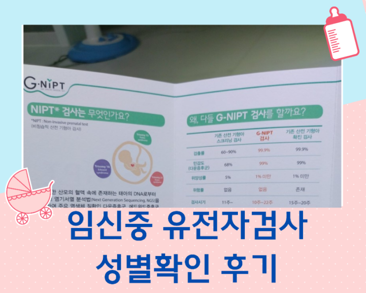  꼬물이 와의 첫만남~~