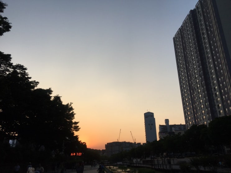  4km 달리기 -12일