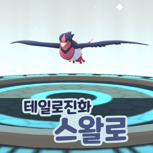 포켓몬고 테일로 진화 스왈로 졸업스킬
