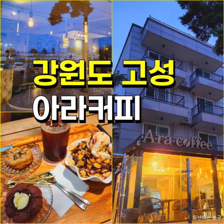 사진 5