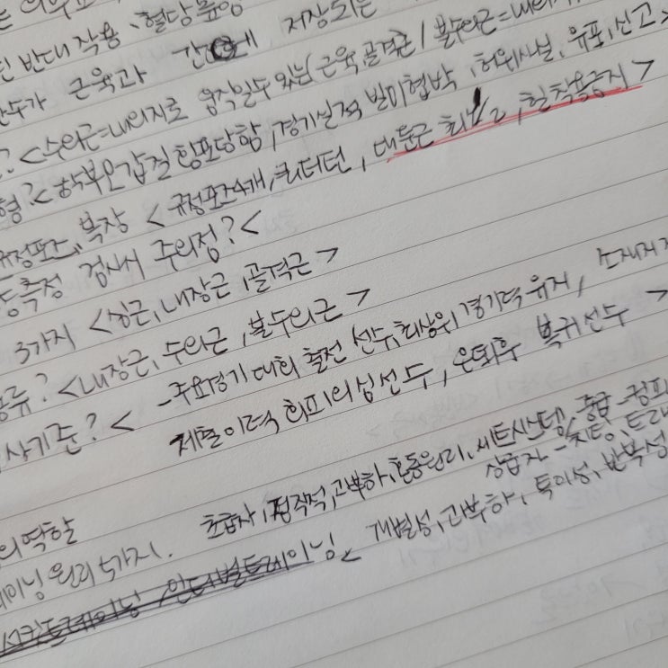  생활체육 구성 요소, 구성원리, 트레이닝 세트원리