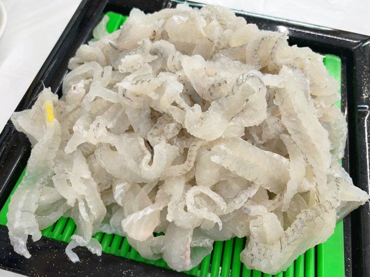  [강원도 고성 거진 맛집] 강성호세꼬시 / 참가자미 세꼬시 / 삼식이 매운탕 끝판왕!! / 갈때마다 가는 단골집