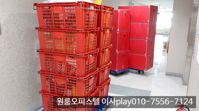  강서구 마곡동 엘리안 오피스텔이사→금천구 독산동 디밸리 원룸이사 용달이사 합니다