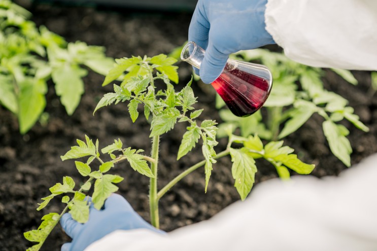 아미노산비료 : 식물 성장과 발달을 촉진하는 효과적인 비료