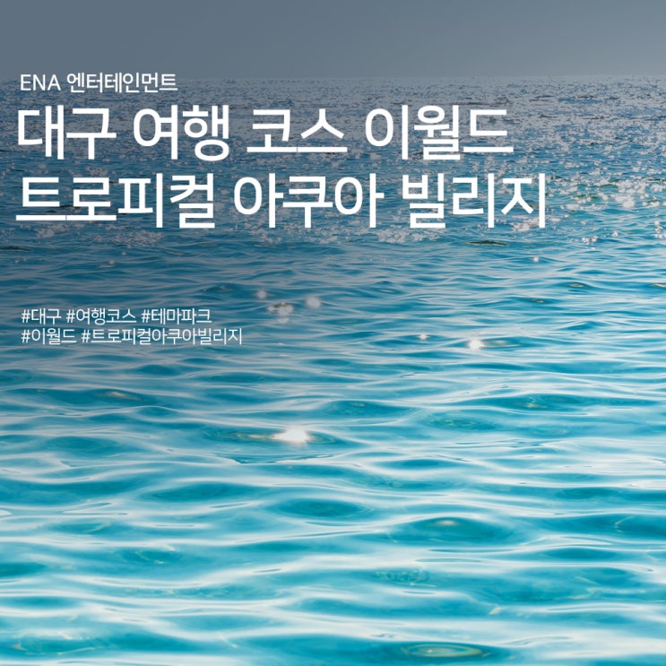  대구 여행 코스 추천! 이월드 트로피컬 아쿠아 빌리지