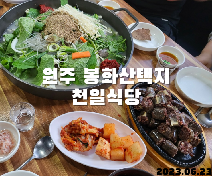  원주 봉화산 술집 천일식당