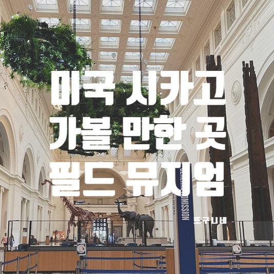  미국 시카고 여행, 가볼 만한 곳 - 시카고 필드 자연사 박물관