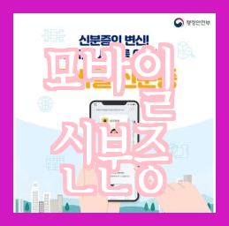  신분증은 모바일로 발급받자! 운전면허증은 지갑에서 안전하게 보관하자!