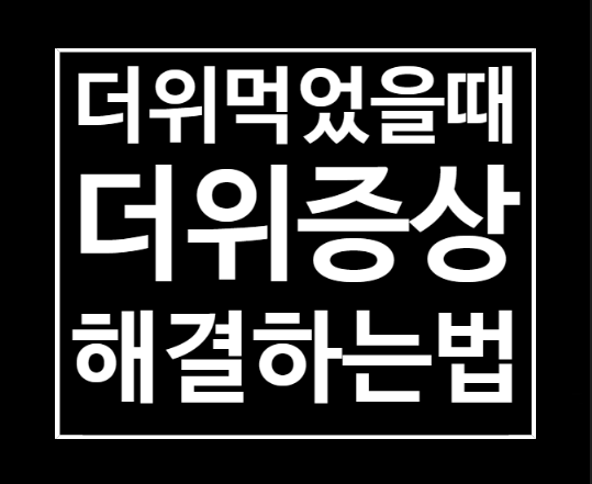  더위먹었을때 증상 음식 해결법