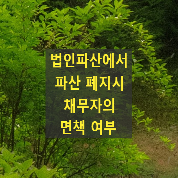  법인파산에서 파산 폐지시 채무자의 면책 여부