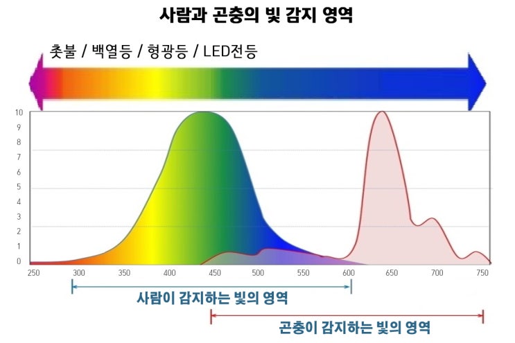  왜? 미세(작은) 날벌레들이 방충망으로 들어올까요?