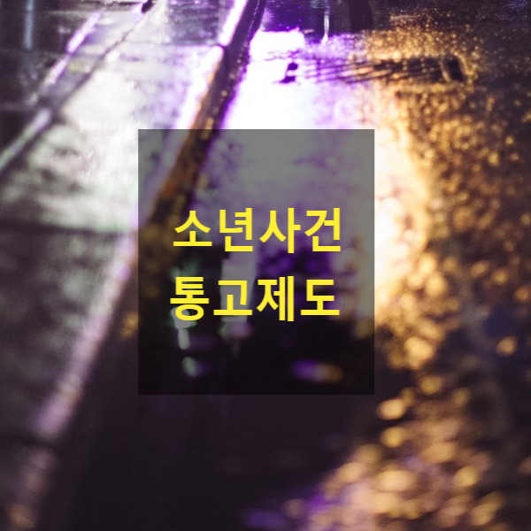  소년사건 통고제도